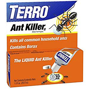 best ant killer for lawn
