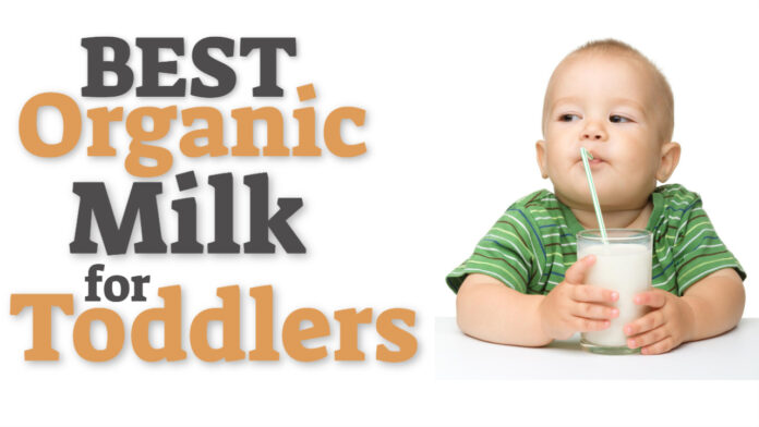 Best Organic Milk for Toddlers
